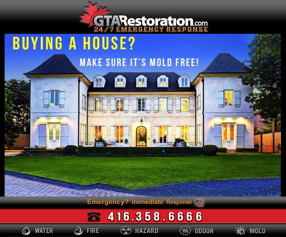How to avoid buying a mold infested home