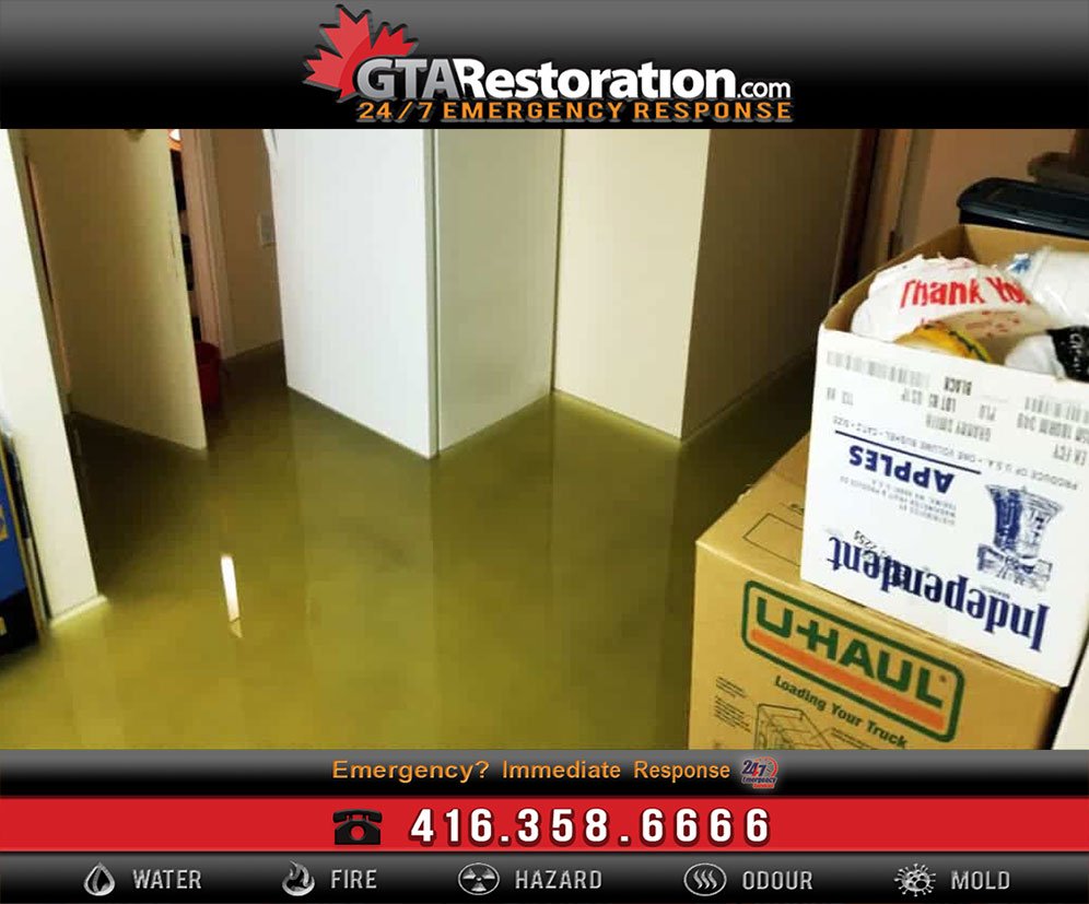 Treating Water Damage from Floods