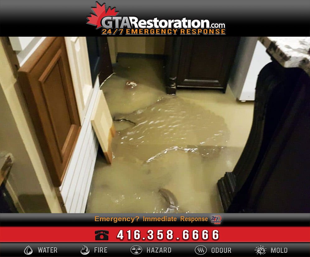 5 Water Damage Restoration Tips