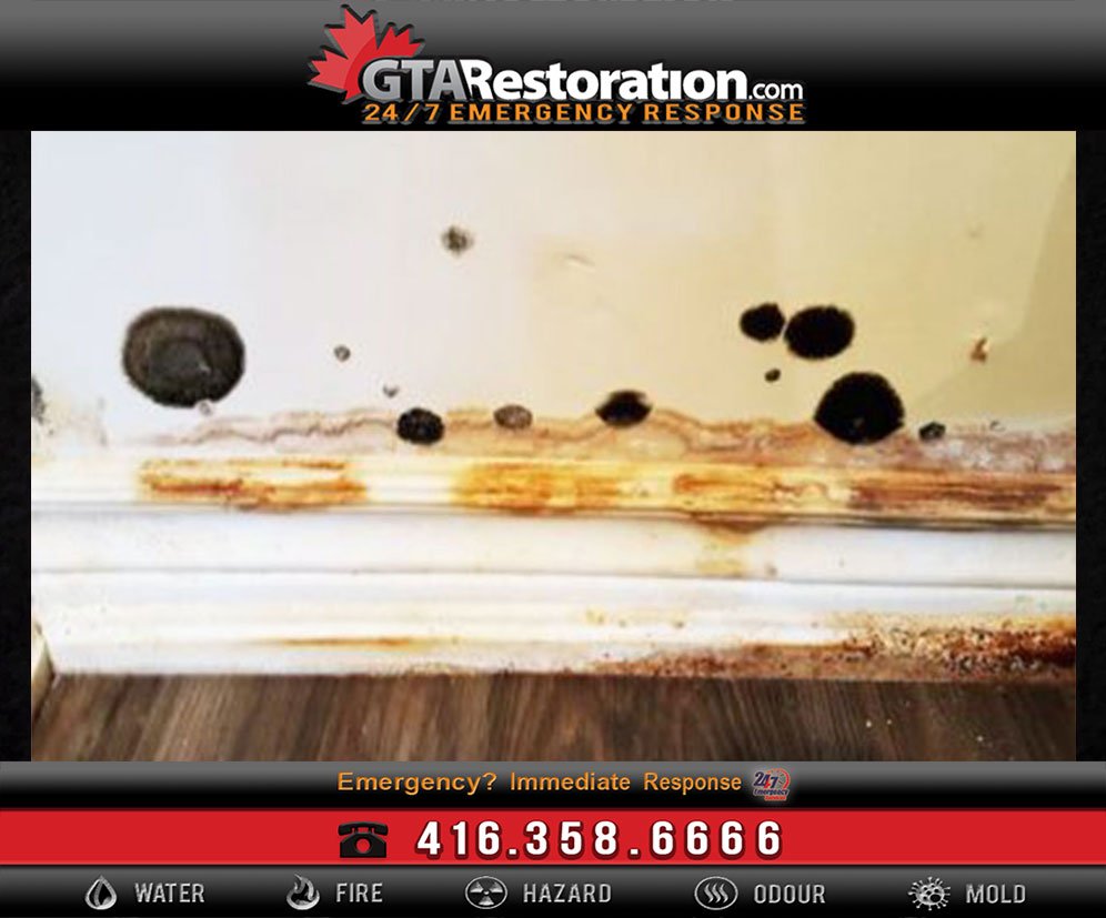 How to Prevent Mold Problem?