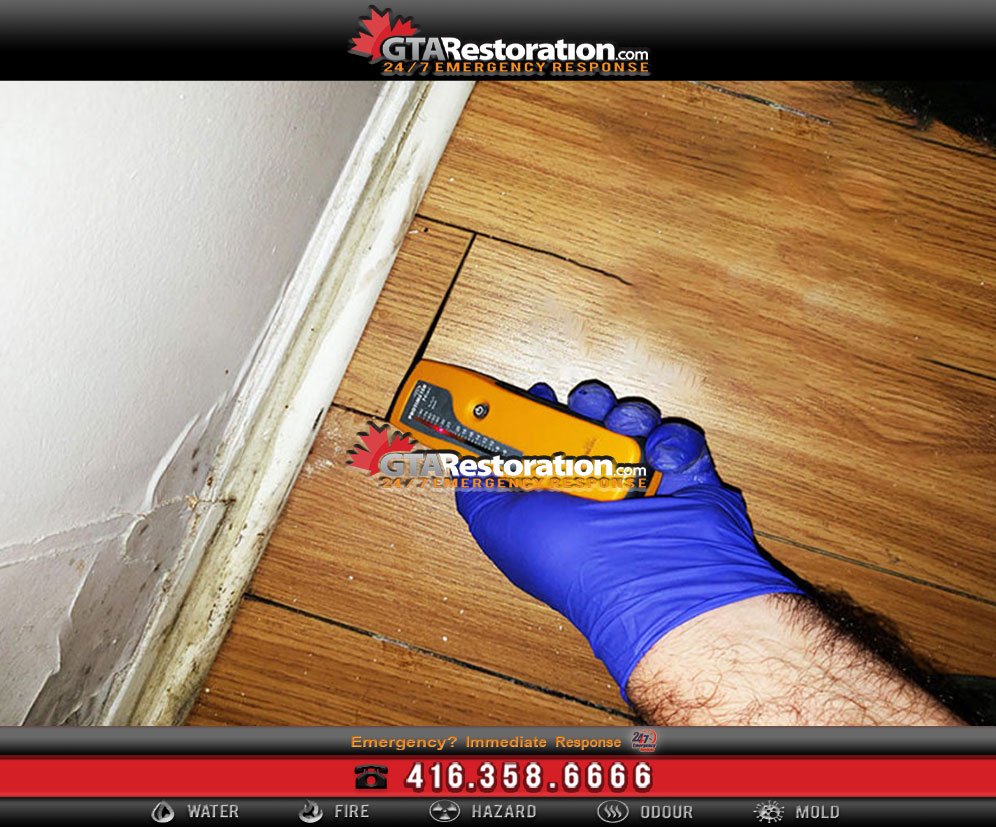 Signs of Mold Growth and How to Detect it in your Home