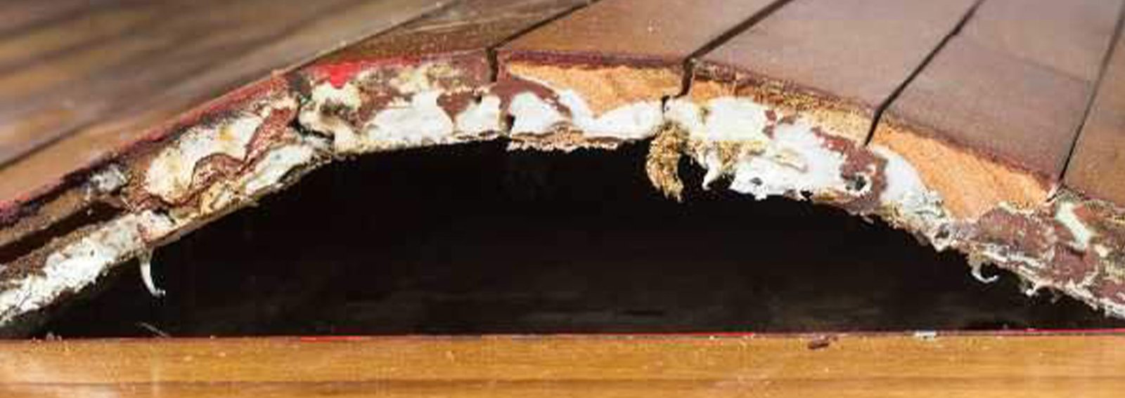 Water Damage Restoration Miami, Emergency Emergency Flood Cleanup Water Damage, Flooded Basement Miami, Flood Repair Costs Miami, Flood Damage Miami, Water Damages Miami