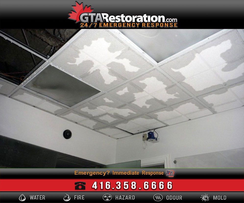 How To Deal With Flood And Water Damage In Your Miami Home!