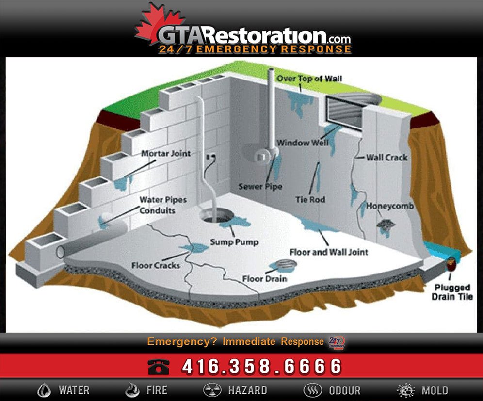 Wet Basements and the Risk for Harmful Mold