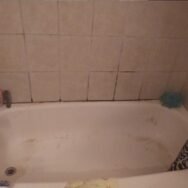 Bathroom Mold Removal Miami