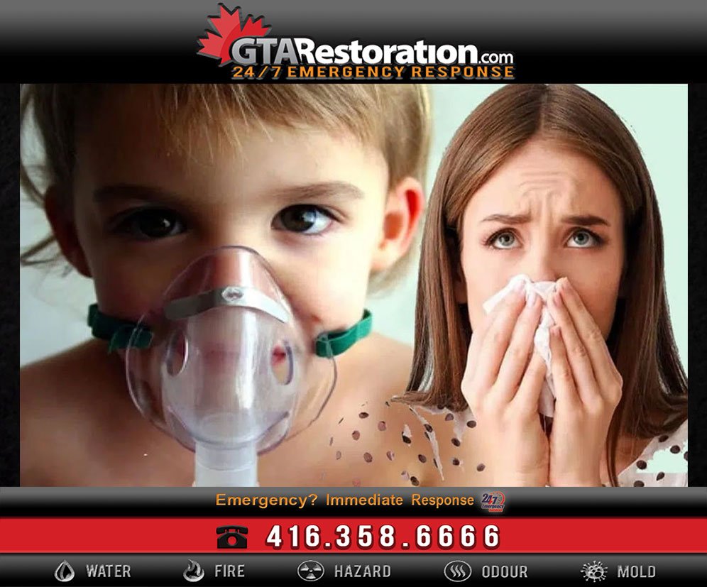Five Common Questions About Mold Removal Process!