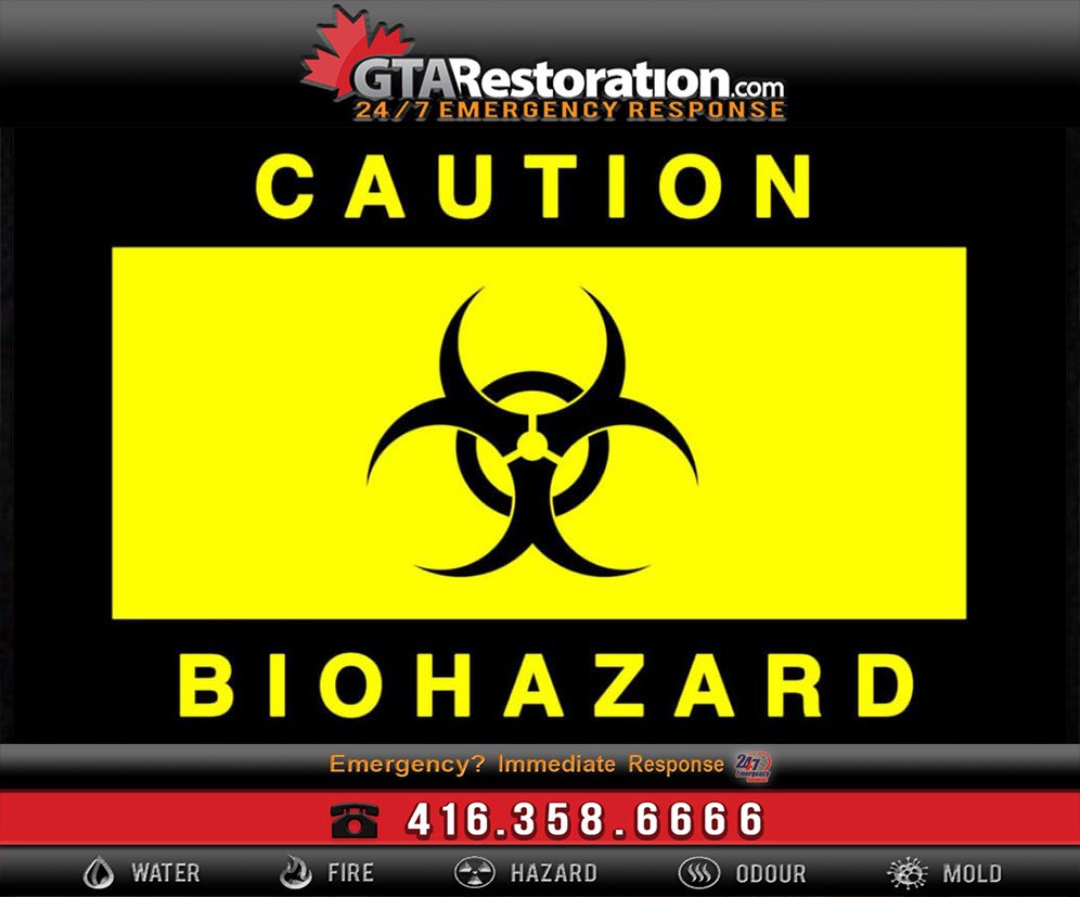 Different types of biohazardous waste