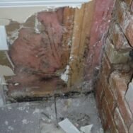 Restoration USA mold Removal remediation service