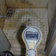 Restoration USA mold removal Miami