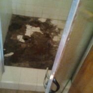 Miami cleaning service, Cleanup Remediation