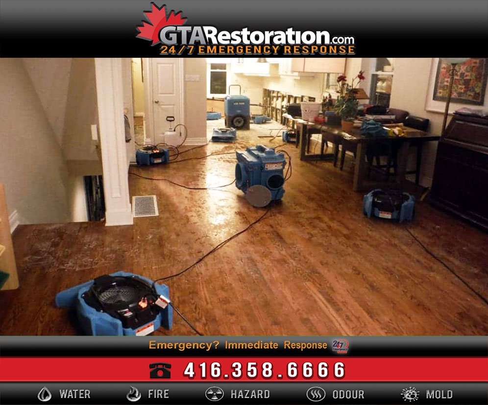 Structural-Drying-Restoration-Service-1024X922-6209231